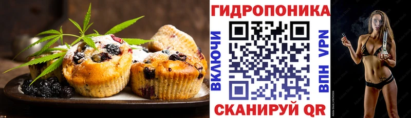 Canna-Cookies конопля Старица
