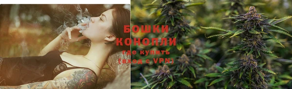 шишки Дмитриев