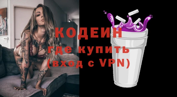 шишки Дмитриев