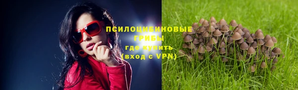 шишки Дмитриев