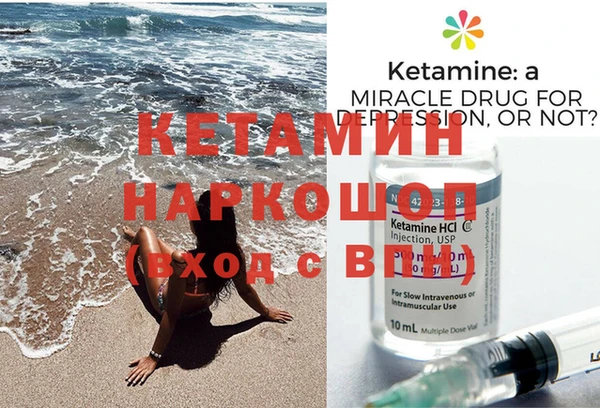 шишки Дмитриев