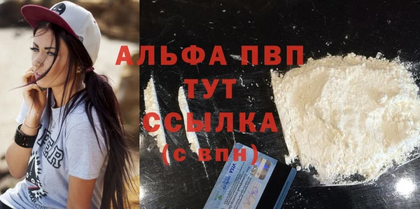 шишки Дмитриев