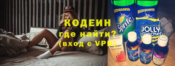 шишки Дмитриев