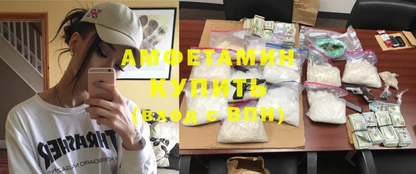 шишки Дмитриев