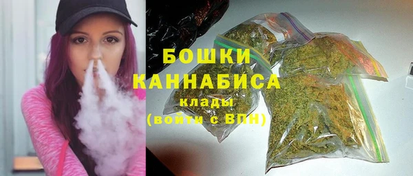 шишки Дмитриев